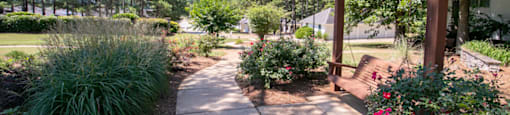 walking trail through garden
