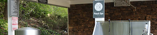 pet wash