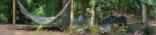 hammock along walking trail