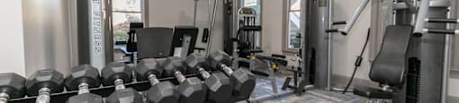 free weights