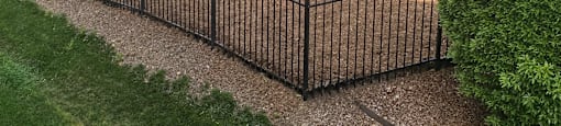 Pet Park