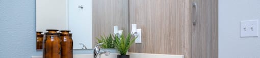 The Byway | Model #105 Ample Bathroom Storage Throughout
