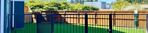 The Byway | Bark Park
