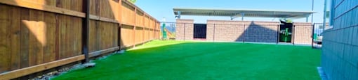 The Byway | Bark Park
