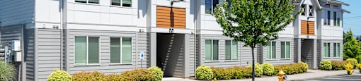 A row of modern townhouses with a tree in front.