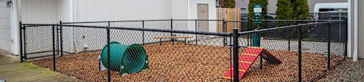 the preserve at ballantyne commons dog park apartments