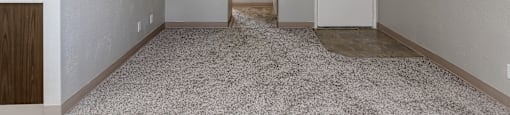 A room with a carpeted floor and two doors.