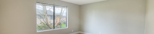 A room with a carpeted floor and a window showing an outdoor view.