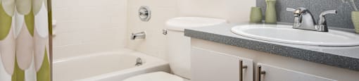 a bathroom with a sink and a toilet and a bath tub