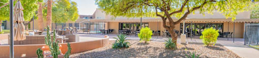 Courtyard with a tree at Palazzo Senior Apartments - 55+ Active Adult Apartments, Phoenix, 85015