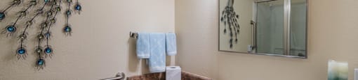 Bathroom with a white sink at Palazzo Senior Apartments - 55+ Active Adult Apartments, Phoenix
