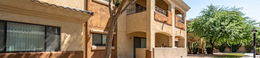 Green Landscape at Sereno Townhomes, Glendale, Arizona