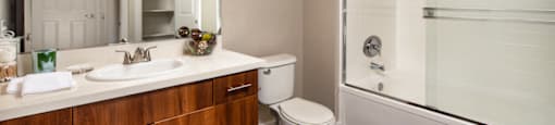 Avila at RSM One Bed Master Bath