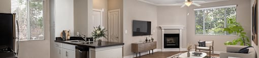 an open living room and dining room with a table and chairs and a living room