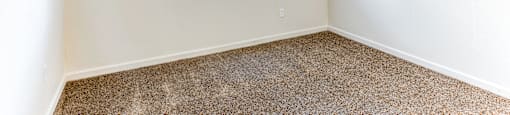 A room with a window and carpeted floor.
