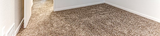 A room with carpeted floor and white walls.