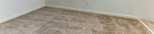 A room with a carpeted floor and a window with blinds.