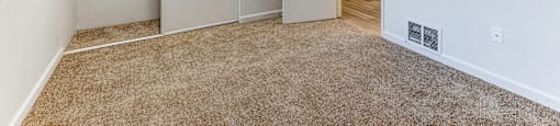 A room with a carpeted floor and two closets.