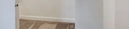 A white wall with a door on the left and a carpet on the floor.