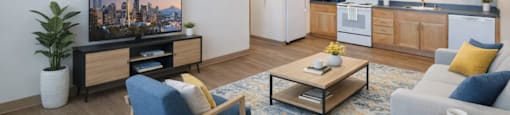 A living room with a television, a blue chair, a coffee table, and a potted plant.