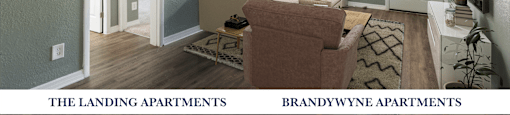 A living room with a couch, chair, and rug.