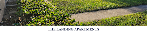 A view of THE LANDING APARTMENTS with a tree and cars parked in the background.