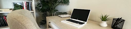 A laptop is open on a desk with a plant beside it.