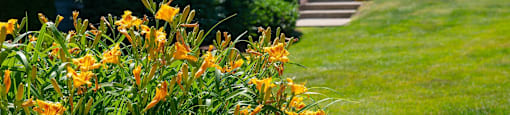Grounds at Belmont Ridge Apartments, Monroeville, PA, 15146