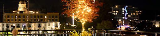 capitol fireworks at Harbor Heights 55+ Community, Washington, 98501