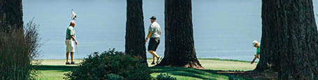 Enjoy year round golf in Olympia at Harbor Heights 55+ Community, Washington