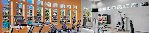 a gym with treadmills and other exercise equipment
