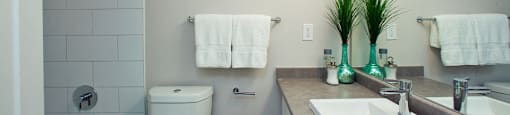 190 Cityview in Brampton, ON Full bathroom with green plant next to the wide mirror and under the light strip