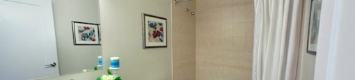Wellington Park Towers bathroom with full size bathtub in St. Thomas, ON