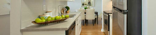 Albany Place beautiful kitchen with stainless steel appliances in Fort, Erie, ON