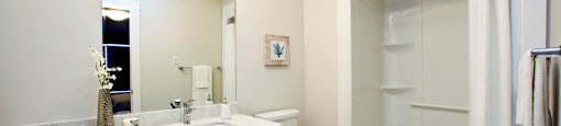 Amesbury Gate Bathroom with stand up shower next to the toilet in Bedford, NS