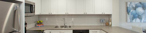Bay Terrace modern kitchen with