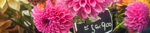Flowers in bucket