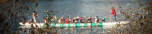 People rowing