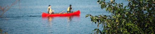 People canoeing