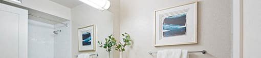 Braemar Gardens apartments bathroom featuring large vanity in Coquitlam, BC