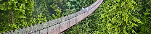 suspension bridge at Vancouver accessible from Bridgeview, Shoreview and Citadel Apartments