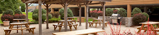 Capitol Hill in Kitchener, ON outdoor patio gazebo and picnic tables