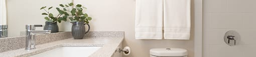 Horizon Towers in Burnaby, BC bathroom with upgraded cabinetry