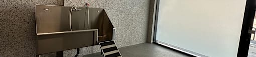 pet spa at junction factory in Toronto ON