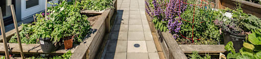 A rooftop garden with a variety of plants and flowers at 388 Kaslo East Village.