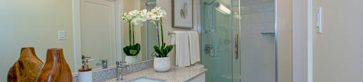 La Salle Towers Large Bathroom in Burlington, ON