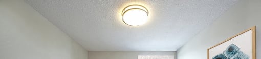 Leamington Heights large, modern bedroom with hard surface flooring in Leamington, ON