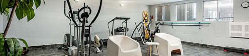 the gym at the house