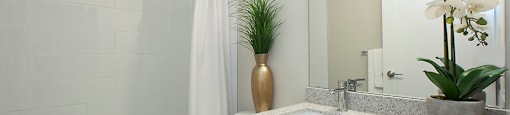 Millside Apartments in Milton, ON bathroom with full sized bathtub