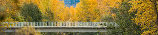 Mission Creek Regional Park near The Ambrosi in Kelowna British Columbia